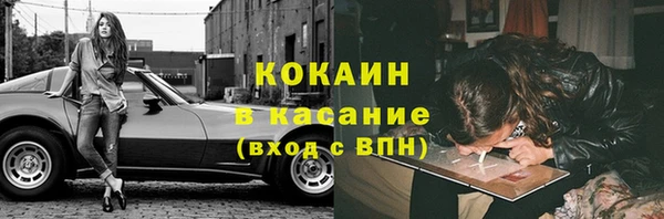 ешки Алексин