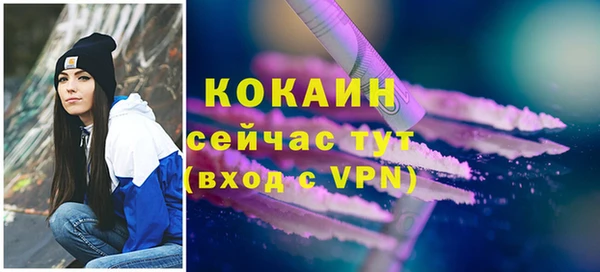 гидра Алзамай