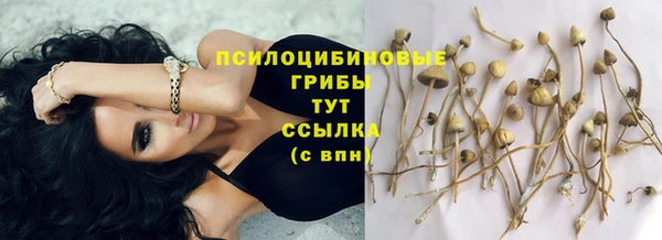 скорость mdpv Алексеевка