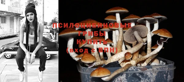 ешки Алексин