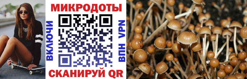 где купить наркоту  Лихославль  Галлюциногенные грибы Cubensis 